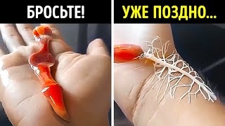 🐛 Опасайтесь Ленточных Червей 😨