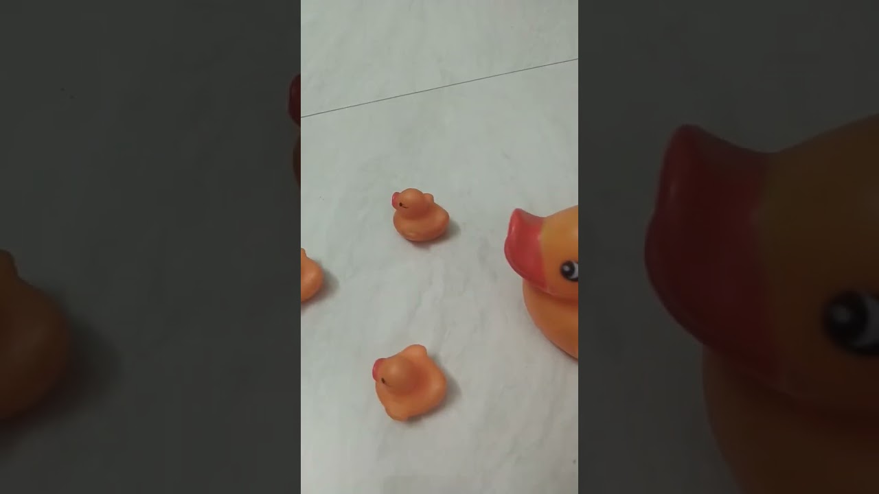 Ducks 🦆 toys 😀 | 