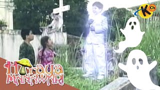 Celebrity Hinagpis ni Kulas (Part 2) | Hiraya Manawari (FASTCUT) Net Worth