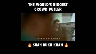 Srk Birthday 2025 Mannat Status Trending Subscribe