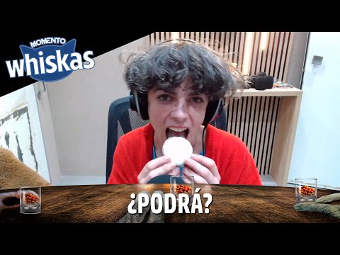 ¿Puede Elisa meterse este Guaymallén entero en la boca? Lo debatimos en #MomentoWhiskas