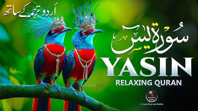 Hijobli gozal qizlar ishtirokidagi porno Tugilgan kun uchun porno kechaga striptizchi taklif qilindi.