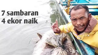 mancing kerapu monster ,7 kali di sambar 4 ekor naik