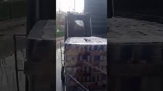 Red Bull Energy Drink 250 ML Austria Origin For Sale