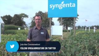 Soybean School - White Mould Management