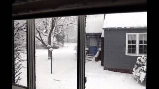 Lafayette Snow Storm 2014