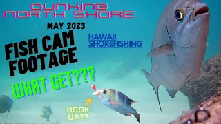WHAT GET? DUNKING NORTH SHORE MAY 2023, FISH CAM FOOTAGE #fishing #gofishcam #hawaii #omilu #Mu