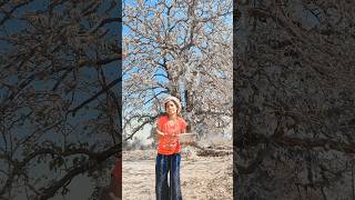 You Give Me Solace In My Heart nqgpuri minivlog dance dance short short vlogger 