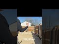 MY WIFFLE BALL PITCHS