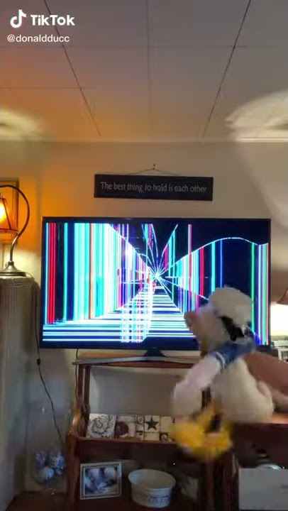 Donald Duck's TV Prank (A Funny TikTok Video By DonaldDucc)