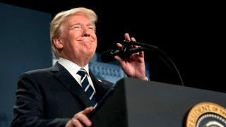 Twitter Trump is overwhelming the economic Trump: Mark Penn