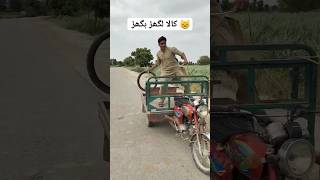 کالا لگھڑ بگھڑ جال میں #amazing #humor #shorts