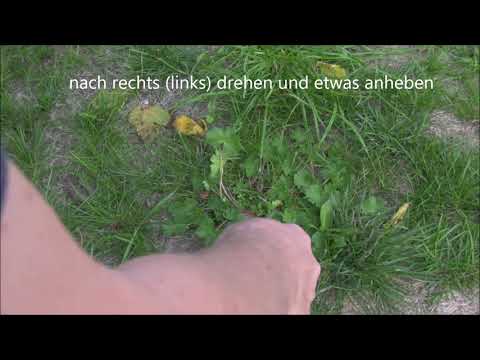 unkraut-im-garten,-rasen??-richtig-ausstechen-erspart-zeit-und-mühe