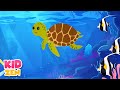 Relaxing baby sleep music colors of the ocean  12 hours of piano music for kids