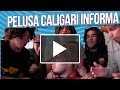 PELUSA CALIGARI INFORMA. ◀︎▶︎WEREVERTUMORRO◀︎▶︎