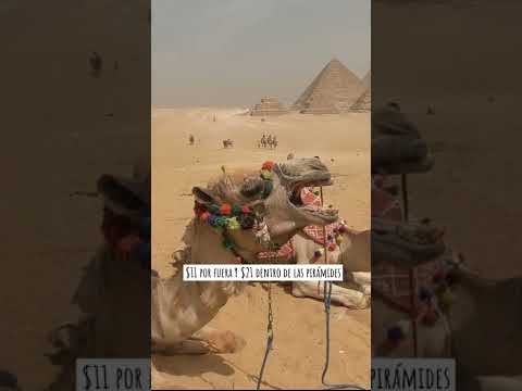 Video: 12 atracciones turísticas mejor valoradas en Egipto