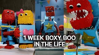 1 Week Boxy Boo in the life - my video compilation