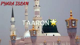 Na itrao chand taro apni rangat par beautiful Rabi ul awwal watsapp status