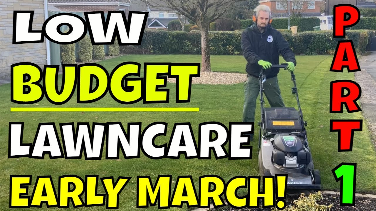 Low BUDGET lawn care PART 1 / March Lawncare Plan