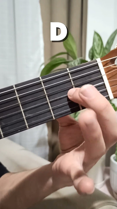 Guitar lessons for beginners (D chord)  #guitar #chord