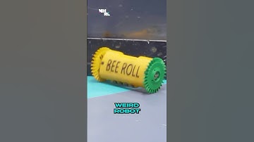 Only two moving parts, maximum chaos