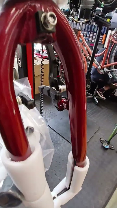 ANOTHER SHOP BUILD. RIDGEBACK AVINIDA.