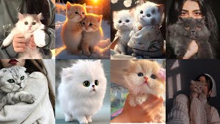 Cute Cat Images For whatsapp DP/ Cat Photo For Girls / Nidi Creation screenshot 3