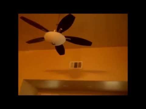 Galleria Princeton Fans Normal Sped Up Slow Down And Upside