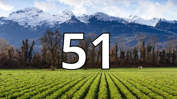 51 Second Countdown Timer With Alarm Sound At the End (Simple Beep)