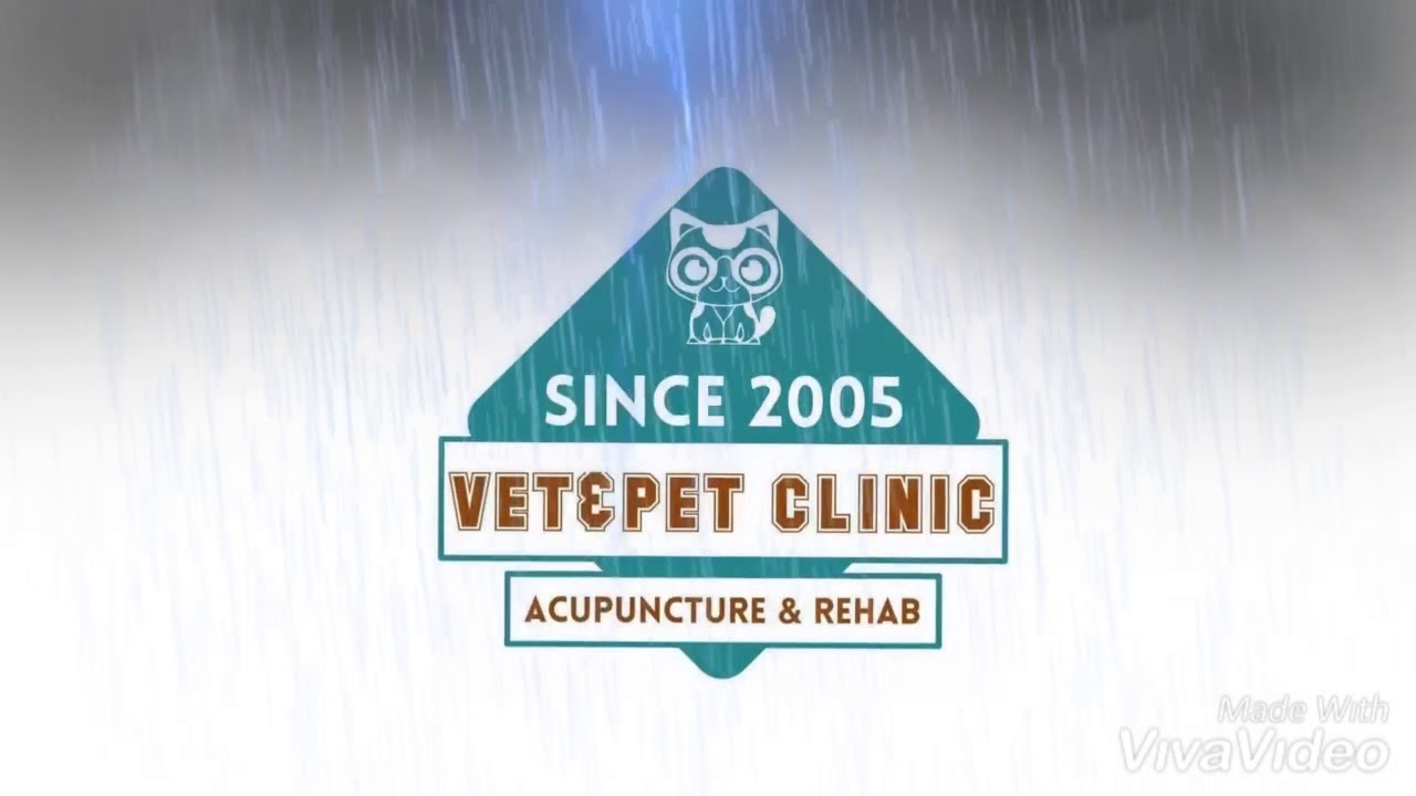 Acupuncture for dog “hip dysplasia” YouTube