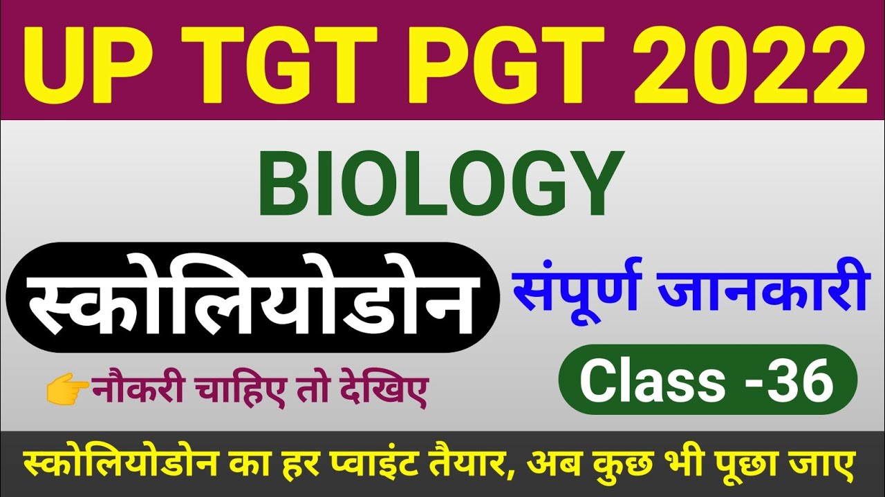 TGT/PGT BIOLOGY 2022 | CLASS- 36 | tgt pgt biology classes | tgt biology scoliodon lecture in hindi
