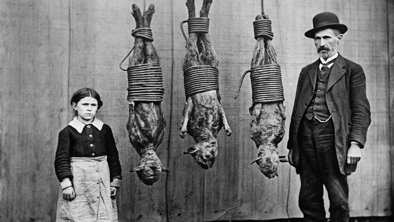 100 архивных фотографий, которые пытались спрятать от публики!