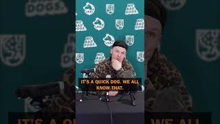Dog Owner press conference #comedyshorts #dogowner