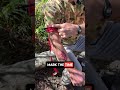 Single Hand TQ Lesson