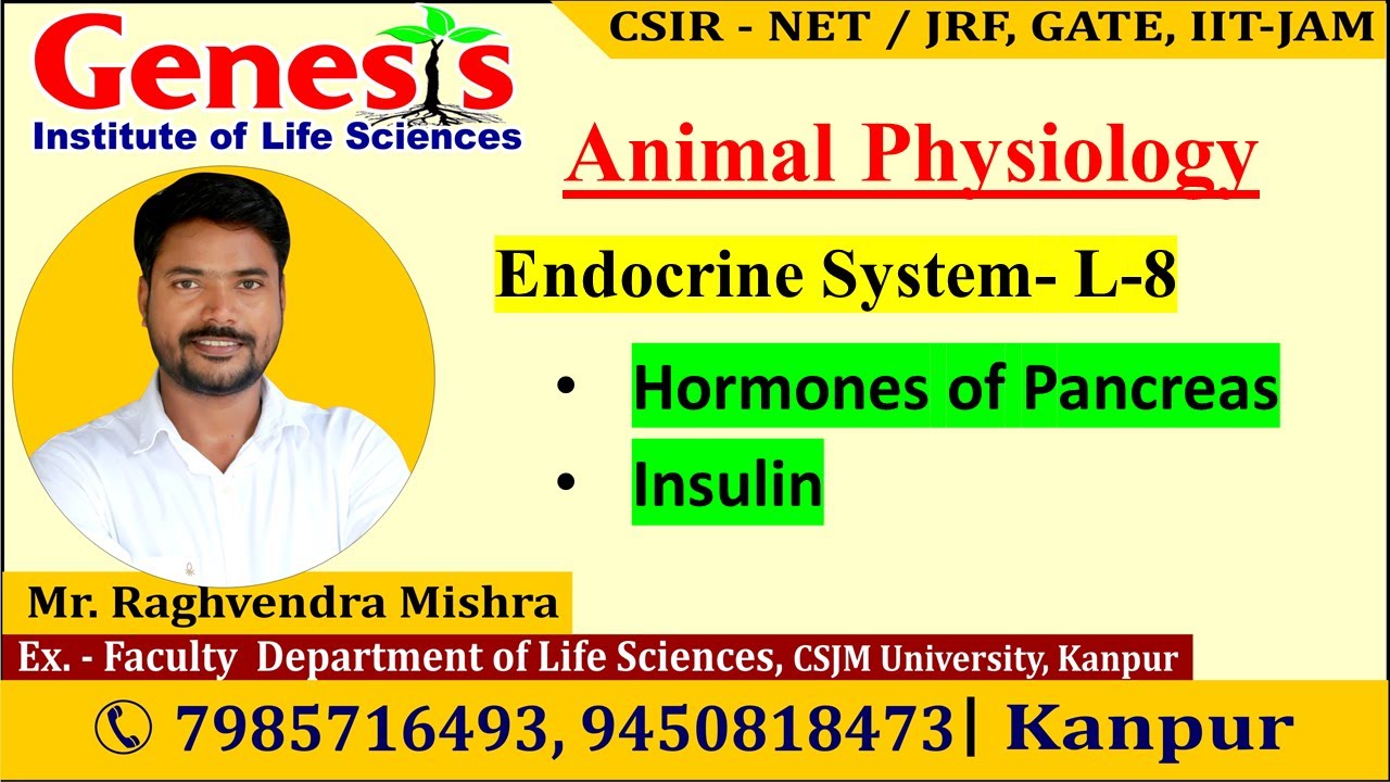 #Pancreas | Insulin | Endocrinology | L-8 |Animal Physiology|𝐆𝐞𝐧𝐞𝐬𝐢𝐬 𝐈𝐧𝐬𝐭𝐢𝐭𝐮𝐭𝐞 𝐨𝐟 𝐋𝐢𝐟𝐞 𝐒𝐜𝐢𝐞𝐧𝐜𝐞𝐬.