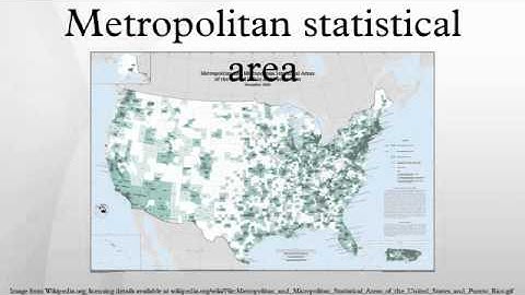 Metropolitan statistical area