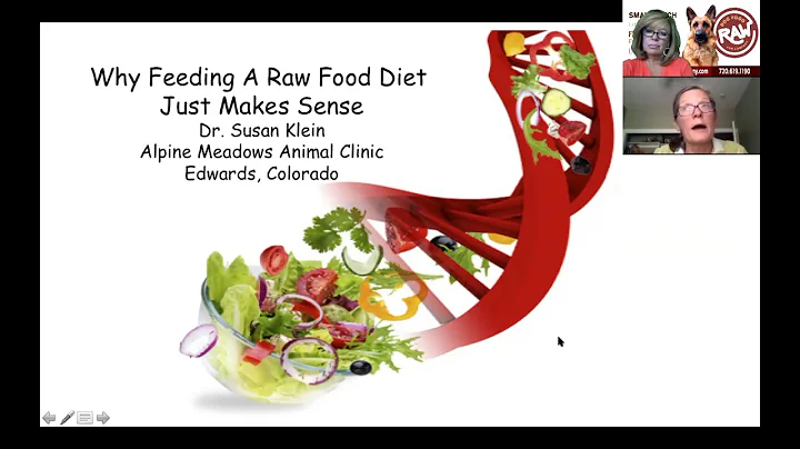 Why Vets Are Against the Raw Diet - A Vet's Perspective Dr. Susan Klein DVM