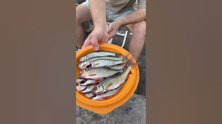 🐋 Жекич Дубровский ШОКИРОВАН УЛОВОМ
