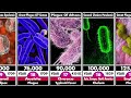 Epidemic Comparison - Worst Pandemics In History