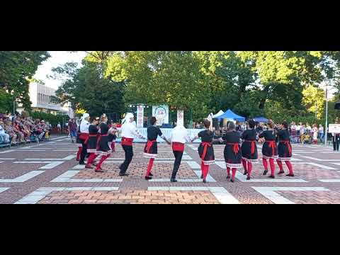 Мегданско хоро