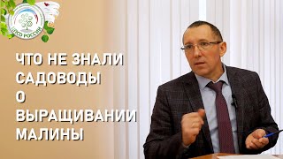 Выращивание малины. Евдокименко Сергей Николаевича отвечает на вопросы подписчиков.