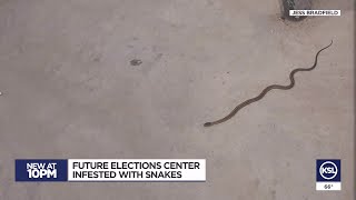 Snakes infest Utah's new Cache County ballot facility