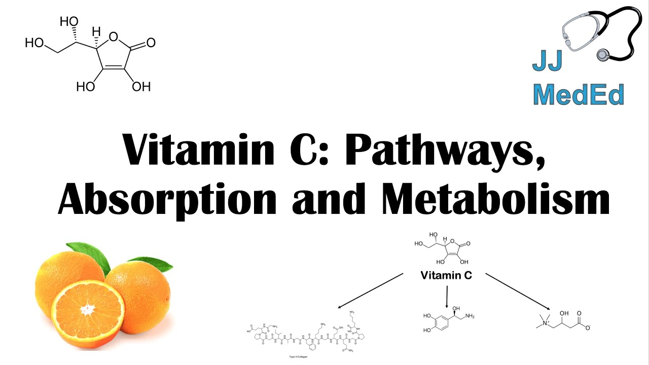 Does Vitamin C Turn Into Oxalates?