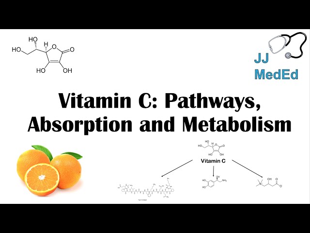 vitamin c and lipid metabolism Ascorbic acid inhibits transcriptional activities of LXR to ameliorate disorder Full article: Potential of ascorbic