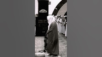 إِنَّ اللَّهَ فَالِقُ الْحَبِّ وَالنَّوَى ~ تلاوة تحبيرية جميلة تريح القلوب للشيخ ياسر الدوسري 😴🤍