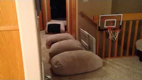 IMG 0871