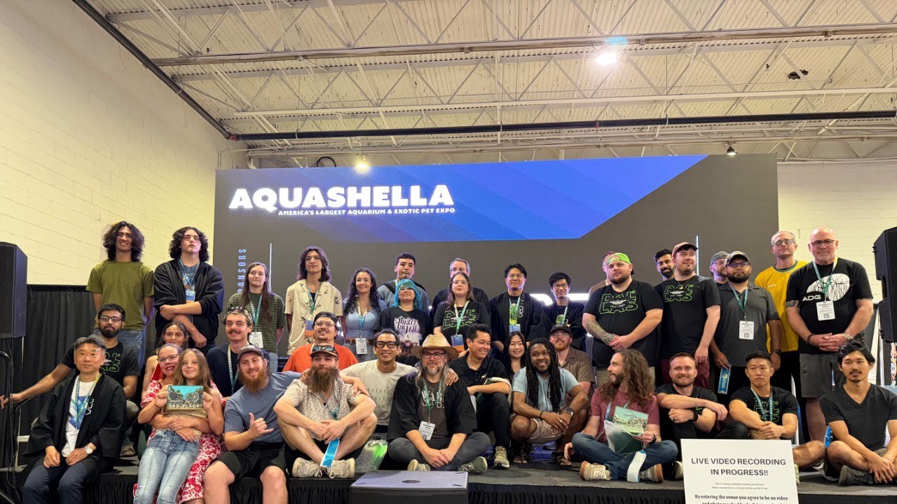 Aquashella!!!