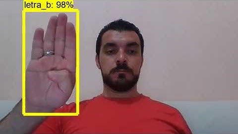 Reconhecimento da Língua Brasileira de Sinais (LIBRAS) usando deep learning