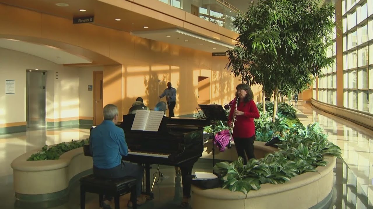 Music as Medicine: Siblings strike the right chord at Glenbrook Hospital