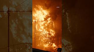 Two homes nearly caught fire Saturday night after suspected illegal fireworks ignited a large tree.